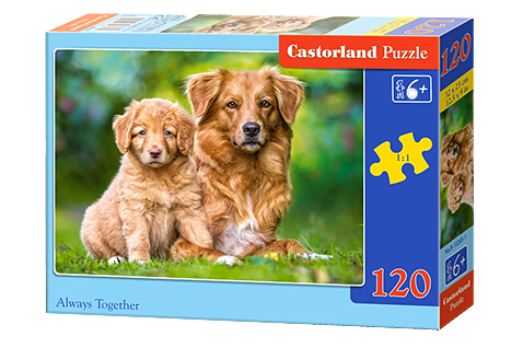 Puzzle für Castorland