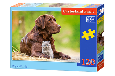 Puzzle für Castorland