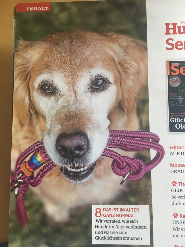 PartnerHund Extra, Senior, Ausgabe Nr. 17
