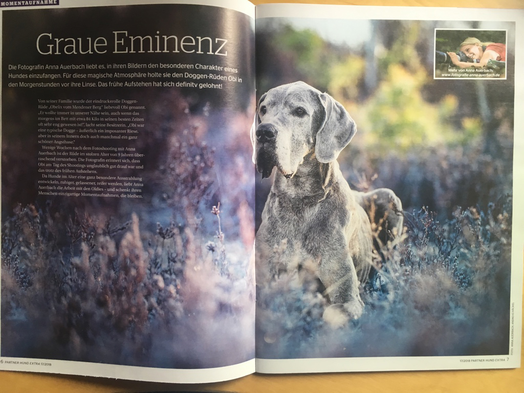 PartnerHund Extra, Senior, Ausgabe Nr. 17
