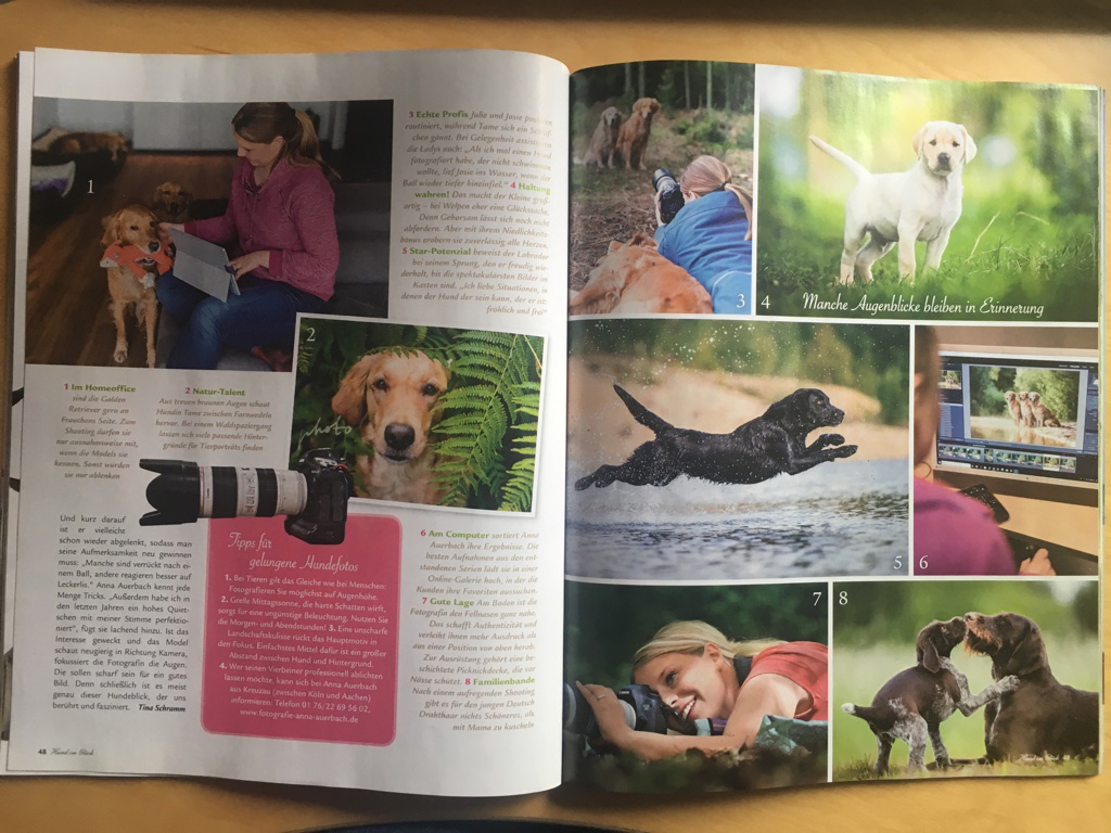 Hund im Glück, 2/2018