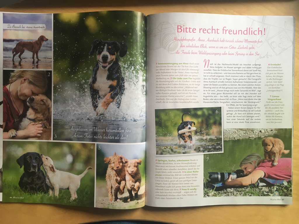 Hund im Glück, 2/2018